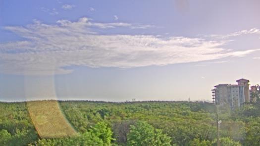 Weather camera view of WTSP-TV.