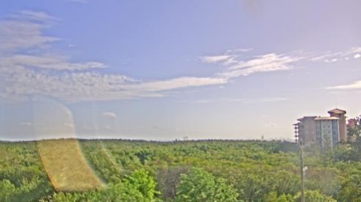 Weather camera view of WTSP-TV.