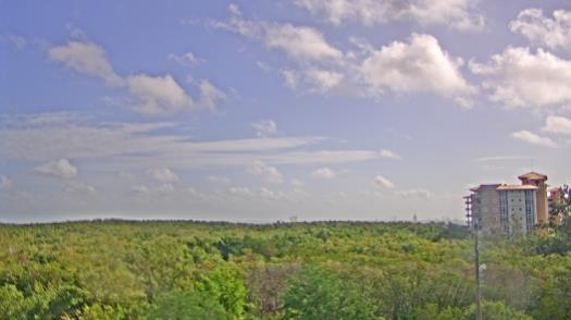 Weather camera view of WTSP-TV.