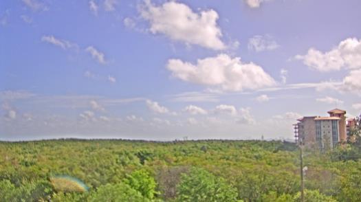 Weather camera view of WTSP-TV.