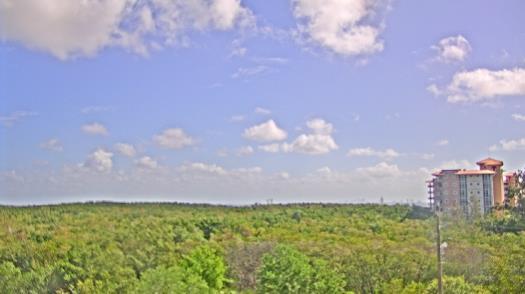 Weather camera view of WTSP-TV.