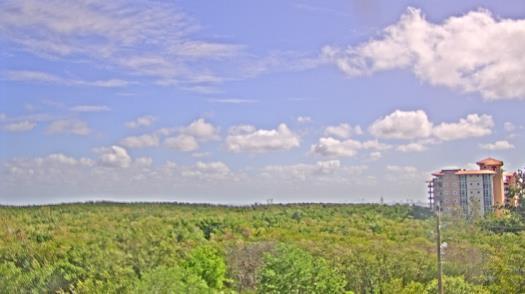 Weather camera view of WTSP-TV.