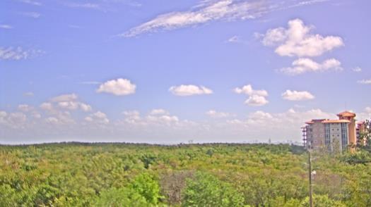 Weather camera view of WTSP-TV.