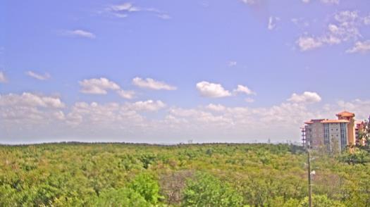 Weather camera view of WTSP-TV.