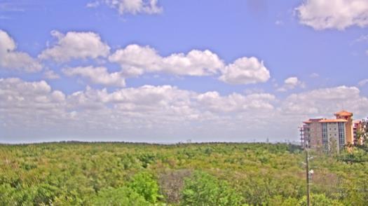 Weather camera view of WTSP-TV.