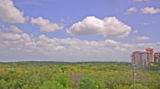 Weather camera view of WTSP-TV.