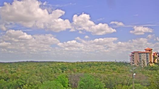 Weather camera view of WTSP-TV.