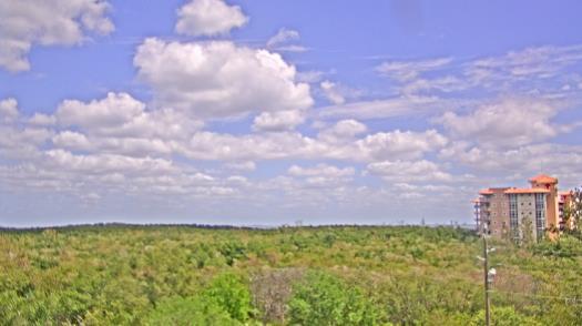 Weather camera view of WTSP-TV.