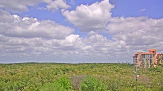 Weather camera view of WTSP-TV.
