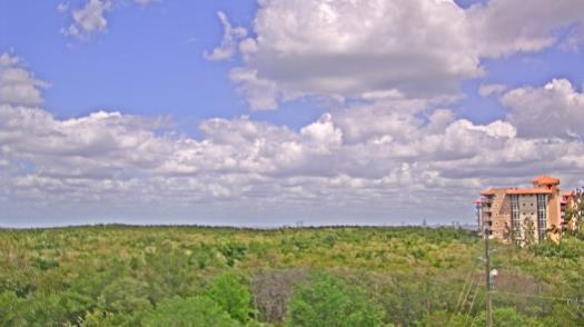 Weather camera view of WTSP-TV.
