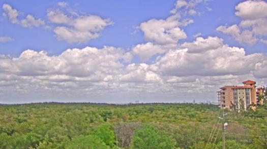 Weather camera view of WTSP-TV.