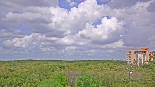 Weather camera view of WTSP-TV.
