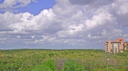 Weather camera view of WTSP-TV.