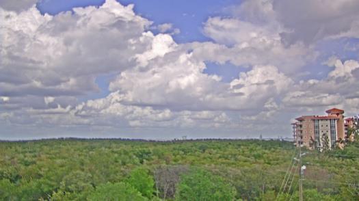 Weather camera view of WTSP-TV.