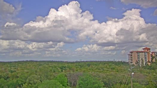 Weather camera view of WTSP-TV.