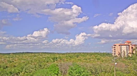 Weather camera view of WTSP-TV.