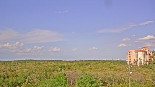 Weather camera view of WTSP-TV.