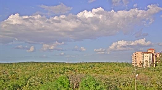 Weather camera view of WTSP-TV.