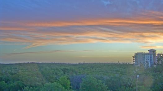 Weather camera view of WTSP-TV.