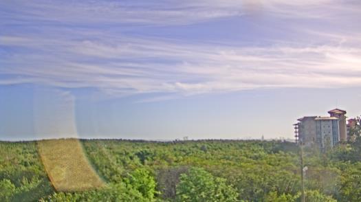 Weather camera view of WTSP-TV.