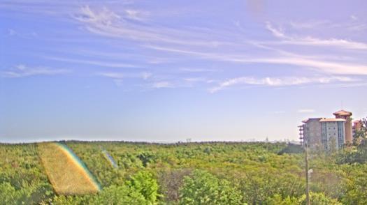 Weather camera view of WTSP-TV.