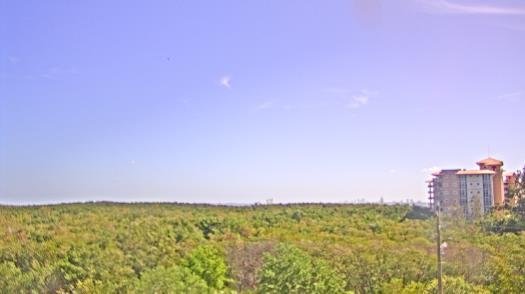 Weather camera view of WTSP-TV.