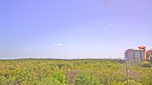 Weather camera view of WTSP-TV.