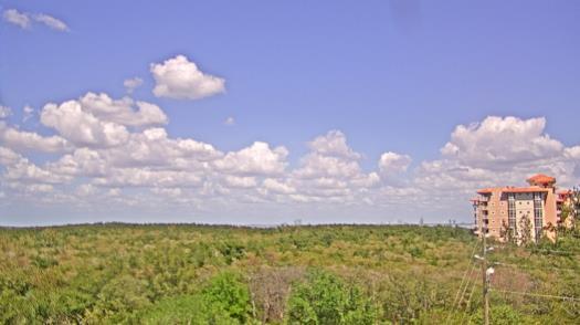 Weather camera view of WTSP-TV.