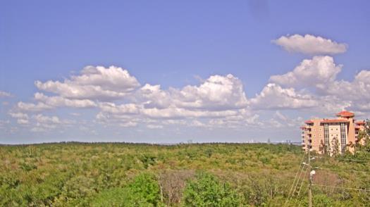 Weather camera view of WTSP-TV.