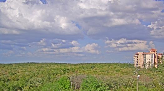 Weather camera view of WTSP-TV.