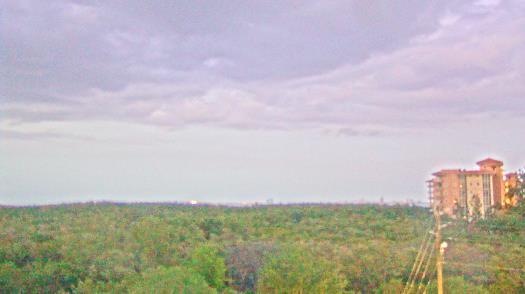 Weather camera view of WTSP-TV.