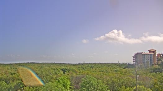 Weather camera view of WTSP-TV.