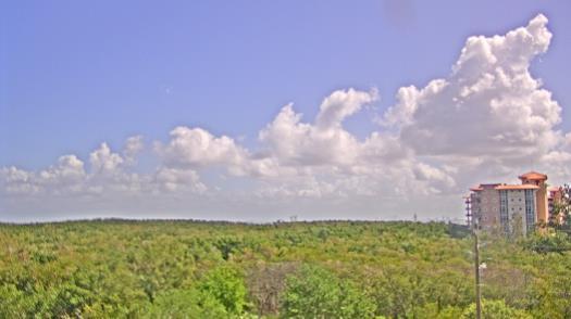 Weather camera view of WTSP-TV.