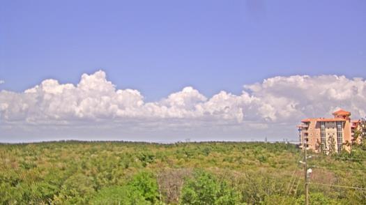 Weather camera view of WTSP-TV.