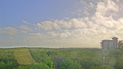 Weather camera view of WTSP-TV.