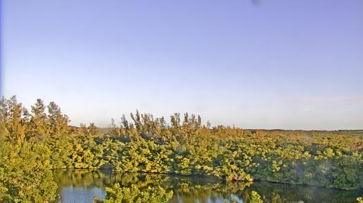 Weather camera view of WTSP-TV.