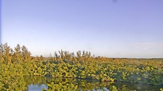 Weather camera view of WTSP-TV.