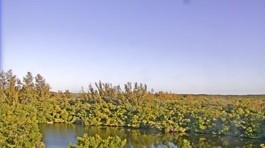 Weather camera view of WTSP-TV.