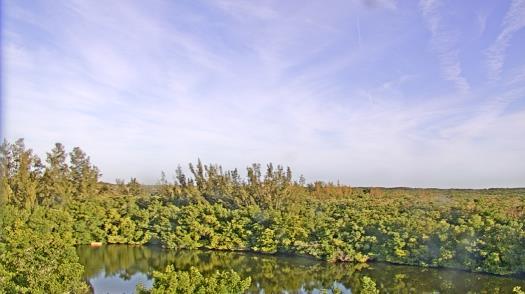 Weather camera view of WTSP-TV.