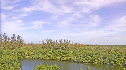 Weather camera view of WTSP-TV.