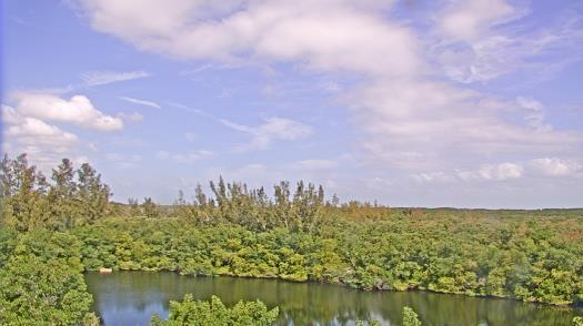 Weather camera view of WTSP-TV.