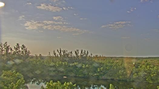 Weather camera view of WTSP-TV.