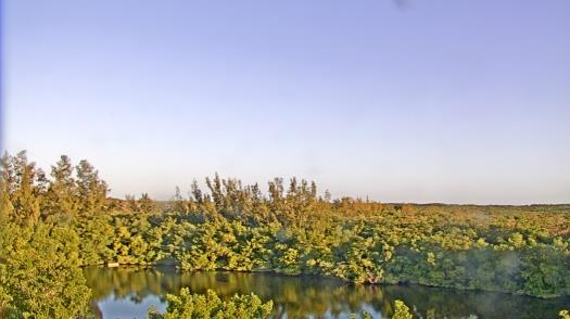 Weather camera view of WTSP-TV.