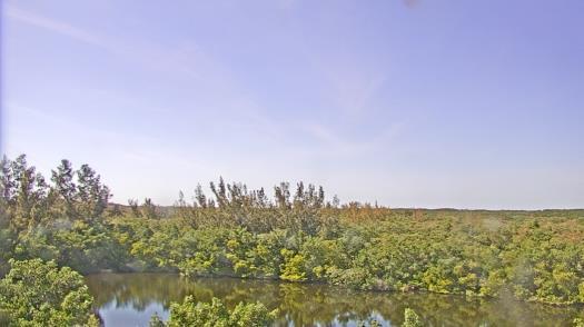 Weather camera view of WTSP-TV.