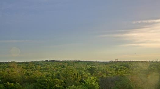 Weather camera view of WTSP-TV.