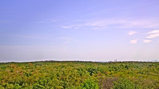 Weather camera view of WTSP-TV.