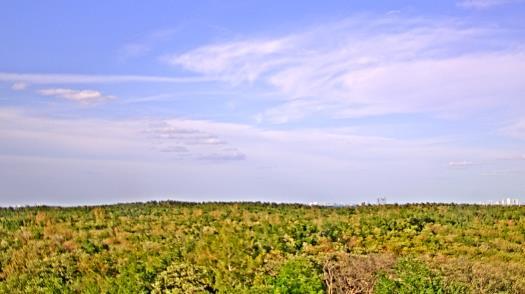 Weather camera view of WTSP-TV.
