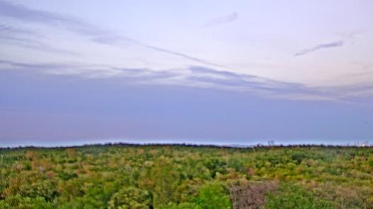 Weather camera view of WTSP-TV.