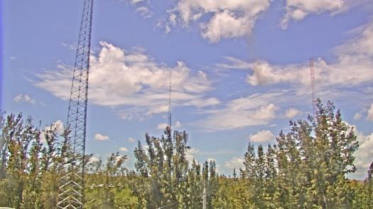 Weather camera view of WTSP-TV.