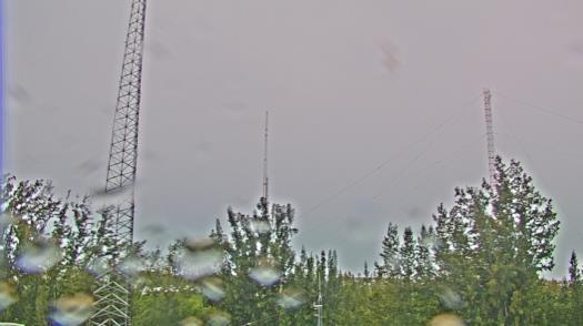 Weather camera view of WTSP-TV.